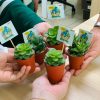 picture contains image of people holding succuleny plant.