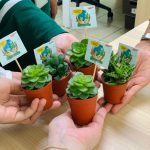 picture contains image of people holding succuleny plant.