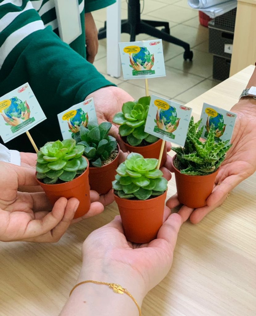 picture contains image of people holding succuleny plant.
