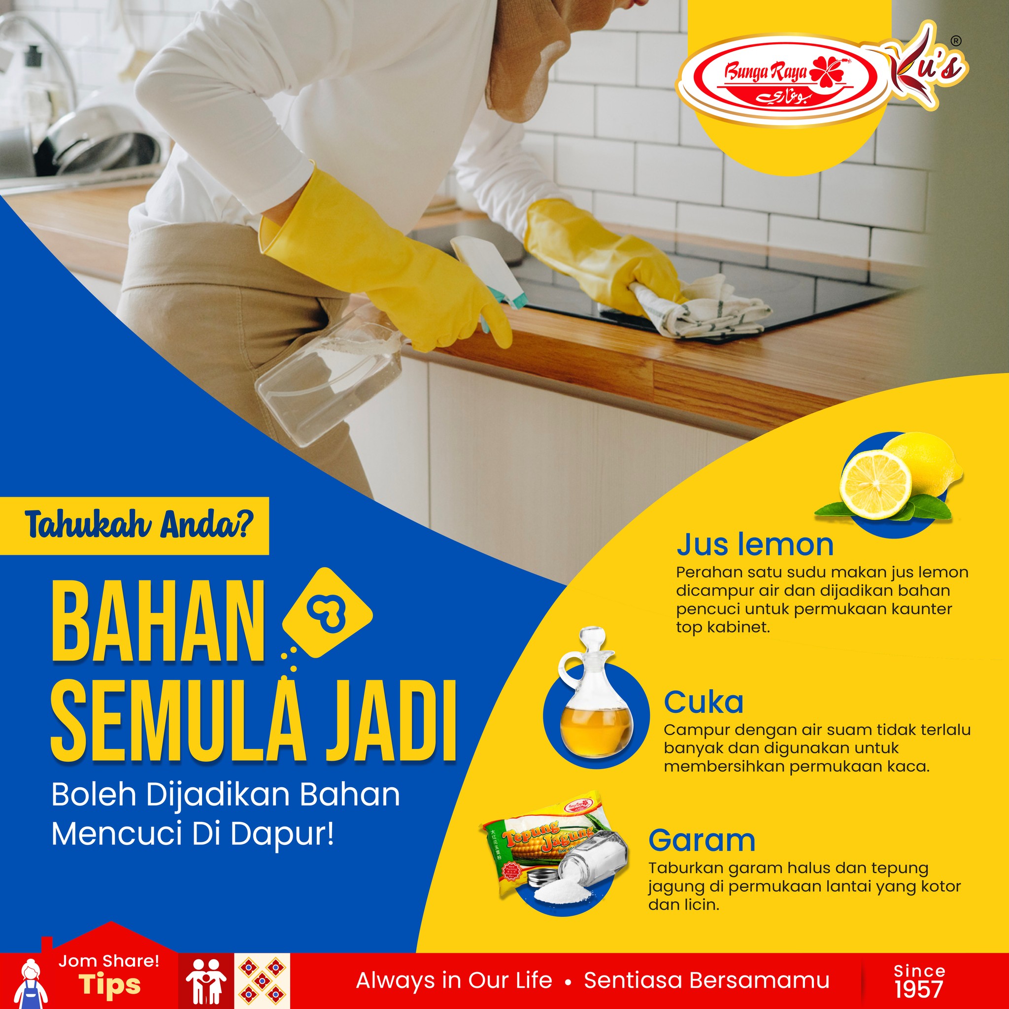 this image contains information on how to use natural things to clean dishwashing and it contains picture of mowen holding plate and some of words on how to use those natural things.